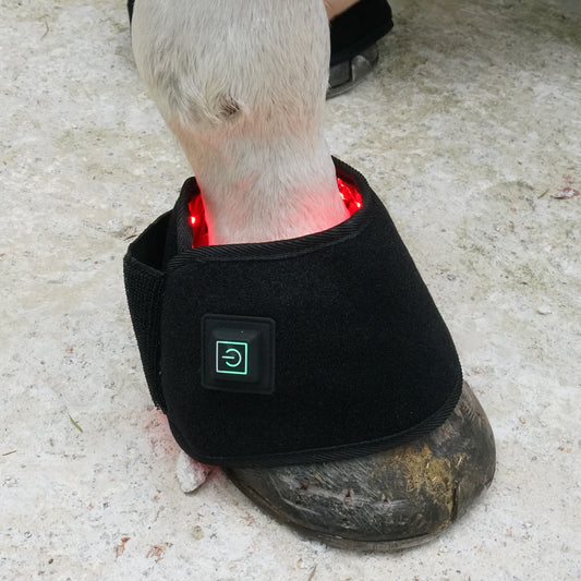 LUMAYA Infrarot Hufboot