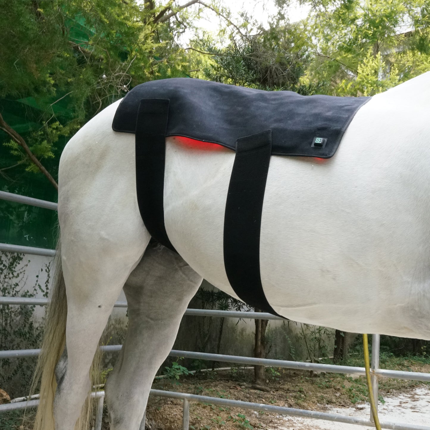 LUMAYA Rückenmodul Pro