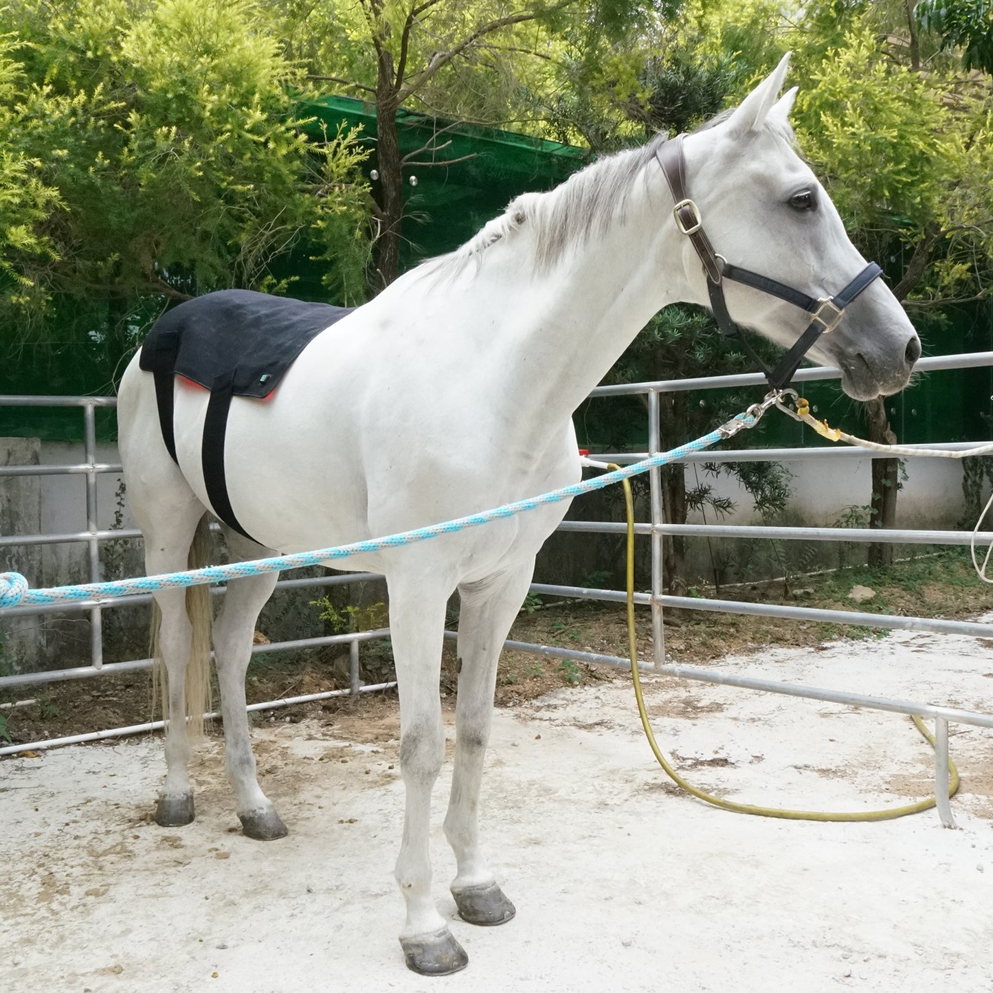 LUMAYA Rückenmodul Pro