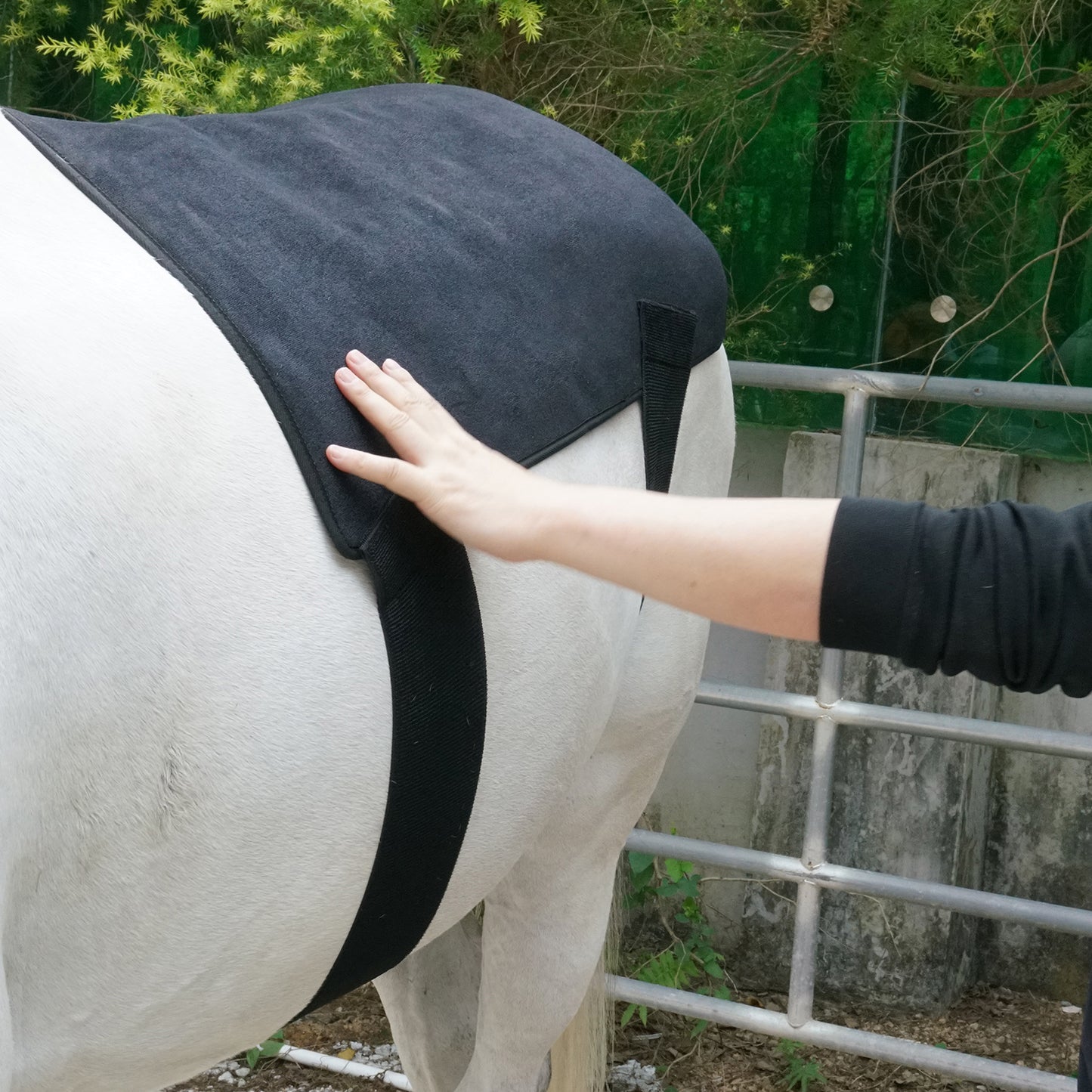 LUMAYA Rückenmodul Pro